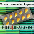 Black Ant Capsules cialis1